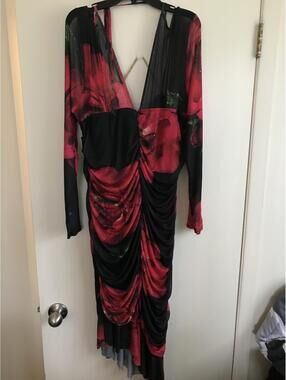 Plus Size 3X Black and Red Floral Ruched Mesh Dress
